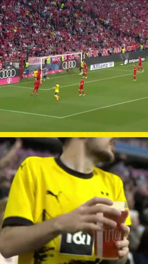 勇者無(wú)懼！這是真多特球迷！在拜仁球迷區(qū)一個(gè)人肆意慶祝！